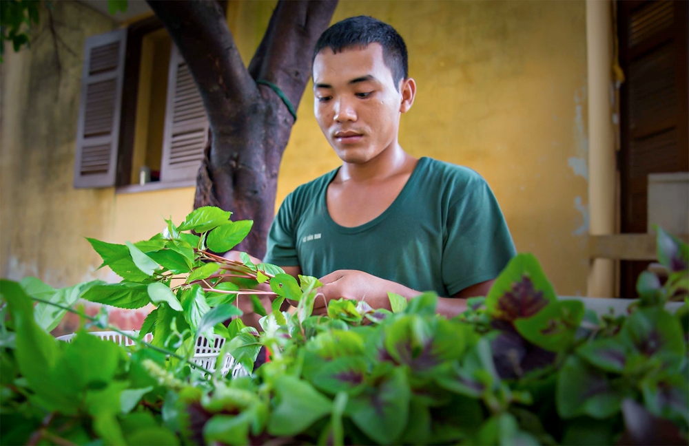 Do tuyệt đối không sử dụng phân bón và thuốc trừ sâu nên rau xanh của đơn vị luôn bảo đảm chất lượng vệ sinh an toàn thực phẩm.